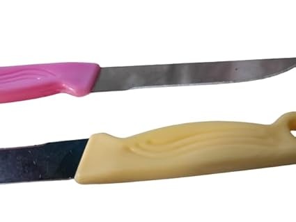 Plastic Handle Kitchen Knife - Handmade Kitchen Knife - Vegetable Knife - Knife with Wood Handle - Knife for Vegetable Cutting – Multipurpose(10 inch) - Pack of 2