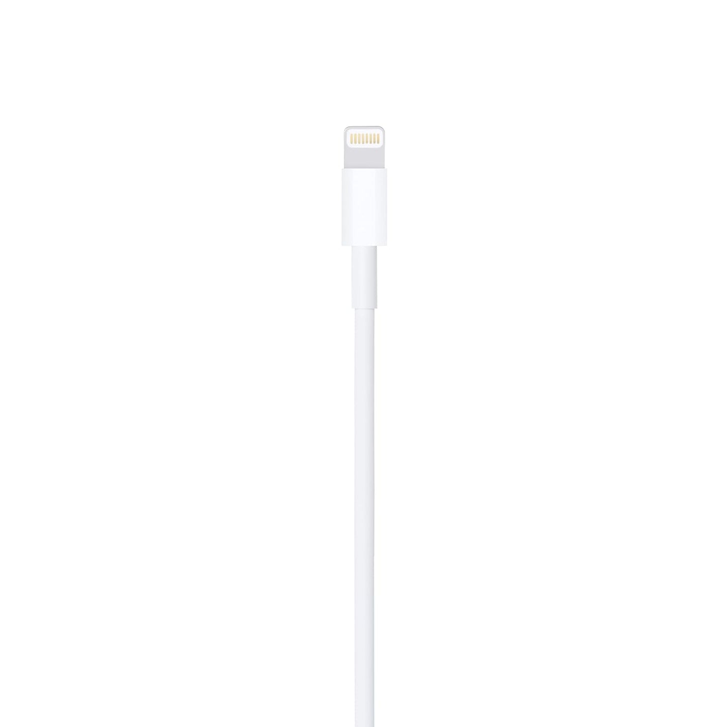 Apple Lightning to USB Cable (2m)