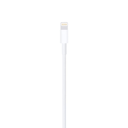 Apple Lightning to USB Cable (2m)