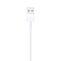 Apple Lightning to USB Cable (2m)