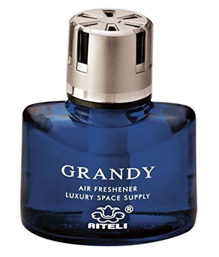 Liquid Perfume for Car, Home ( Blue )